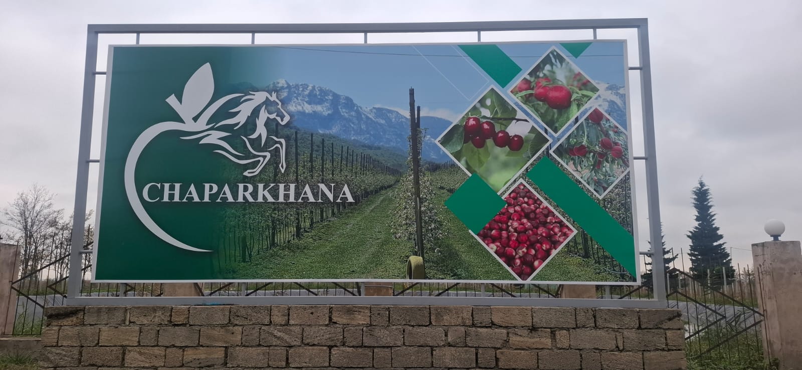 Chaparkhana Soğuk Hava Deposu / Azerbaycan